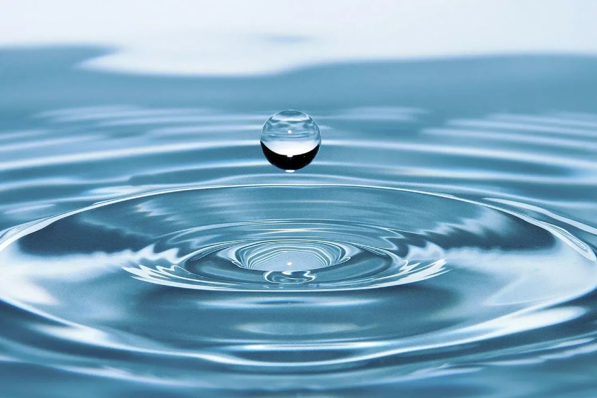 Vesi ja Venemessut – jokaiselle jotakin