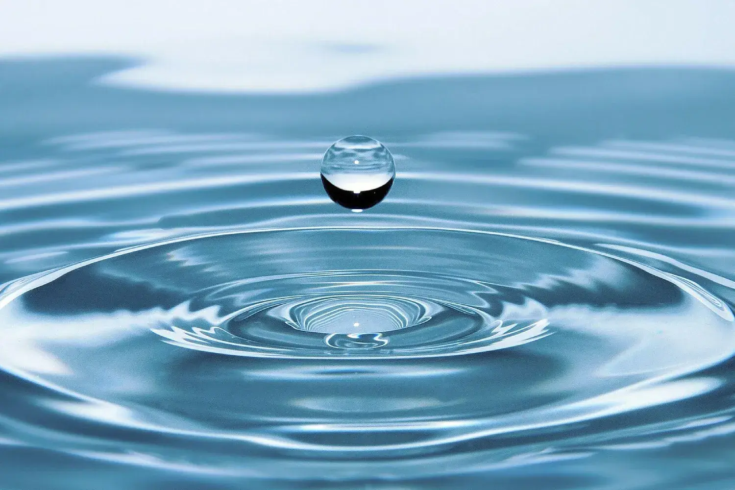 Vesi ja Venemessut &ndash; jokaiselle jotakin